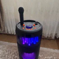 اسپیکر کم کار|سیستم صوتی خانگی|مریوان, |دیوار