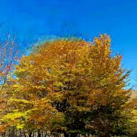 تورهای داخلی و خارجی یک روزه چند روزه