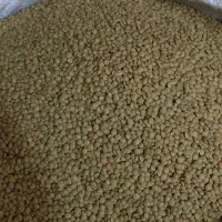 عدس ریز و درشت پلویی