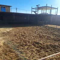 رهن اجاره دامداری دستجرد آقا بزرگ