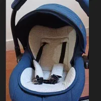 کریر نوزاد مارک دلیجان