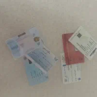 پیدا شده