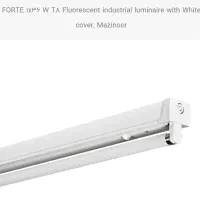 مهتابی تکی ۴۰ وات (تک لامپ)  مازی نور