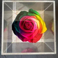کادو رز طبیعی جاودان با ماندگاری بیش از  ۵سال|صنایع دستی و سایر لوازم تزئینی|شیراز, معالیآباد|دیوار