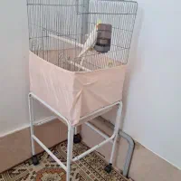 جفت لوتینیو مولد عروس هلندی همراه قفس و پایه