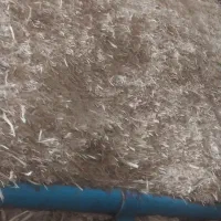 کاه نشکر یا بگاس تن یا سروهست باقیمت مناسب|عمدهفروشی|خمینیشهر, |دیوار