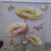 پرده زبرا
