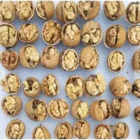 گردو درجه۱|خوردنی و آشامیدنی|رشت, خواهر امام|دیوار