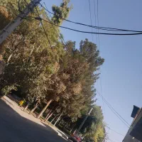 فروش‌آپارتمان|فروش آپارتمان|قم, مسجد امام حسن|دیوار