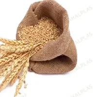 فروش گندم سیروان