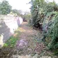 زمین ۴۳۰متری با خانه ۷۰متری|فروش زمین و ملک کلنگی|رضوانشهر, |دیوار