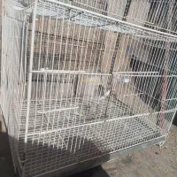 قفس پرنده|لوازم جانبی حیوانات|نیشابور, مازول|دیوار