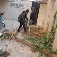 باغبانی گلکاری صفرتاصدهرس درختان کوددهی تیلرزنی|خدمات باغبانی و درختکاری|مشهد, سجاد شهر|دیوار