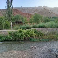 سوئیت ویلا اجاره ای بهشت گمشده ارتکند|اجارهٔ کوتاه‌مدت آپارتمان و سوئیت|مشهد, بهمن|دیوار