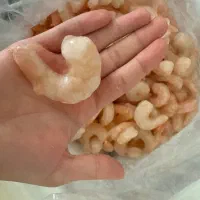 میگو دریا بوشهر درجه یک
