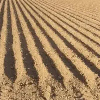 فروش-زمین-کشاورزی