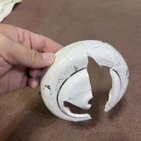 لوازم یدک لوستر|لوستر و چراغ آویز|تهران, جوادیه|دیوار