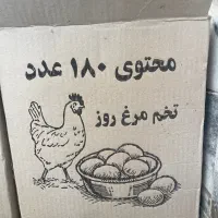 تخم مرغ روز ۲۳۵
