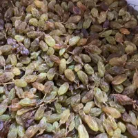 کشمش بندی بدون تیزاب امسالی