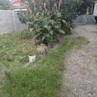 اجاره ویلا جنگلی شبانه جاده واز