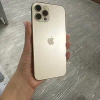 آیفون ۱۲ پرو گلد