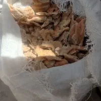 نان خشک تمیز و بهداشتی