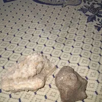 سنگ برای آکواریوم