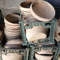 ظرف  مخصوص تخم گذاری کبوتر