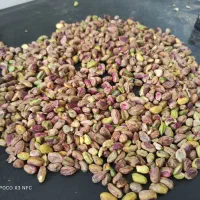 مغز پسته|خوردنی و آشامیدنی|ماهان, |دیوار