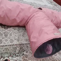 تونل گربه