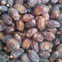 خرمای خشک و شیره دار بوشهر|خوردنی و آشامیدنی|اهواز, فرودگاه|دیوار