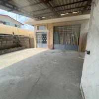 شیرود