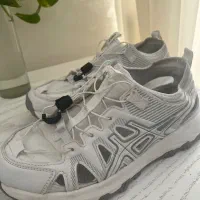 کفش رودخانه نوردی اسیکس هامتو