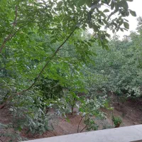 آپارتمان-رودهن