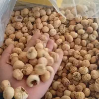 خشکبار انجیر استهبان