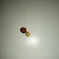 مهره
