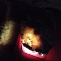 سنگ قیمتی|کلکسیون و سرگرمی|مهرگان, |دیوار