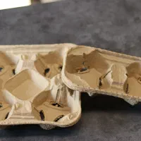 هولدر لیوان کاغذی|ظروف نگهدارنده، پلاستیکی، یک‌بارمصرف|تهران, بهارستان|دیوار