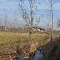 فروش زمین باغی|فروش زمین و ملک کلنگی|لاهیجان, لیالستان|دیوار