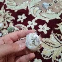 قیمت ۱۵۰۰ میلیون