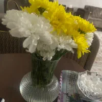 نگهداری از سالمند