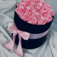 ماندگار در رنگهای مختلف|حراج|رشت, توشیبا|دیوار