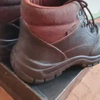 کفش کار|کیف، کفش، کمربند|بندر کنگان, |دیوار