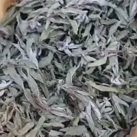 پخش عمده مریم گلی و پونه اعلا و برگ گزنه و گل ختمی