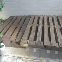 تخته
