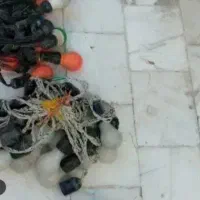 ریسه رنگی برق