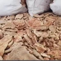 خرید وفروش نان