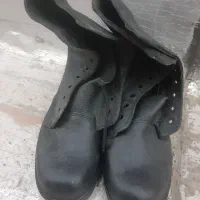 پوتین نو نو