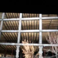 استخدام  پیمان کار  اسکلت بتونی