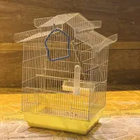 قفس پرنده تمیز